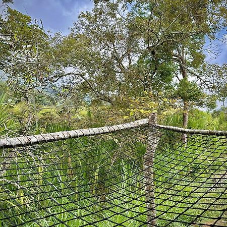 Finca Ecoparaiso Ibagué Eksteriør bilde
