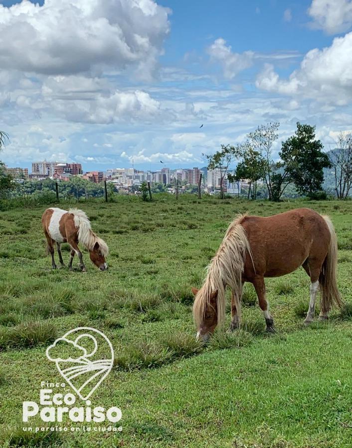 Finca Ecoparaiso Ibagué Eksteriør bilde