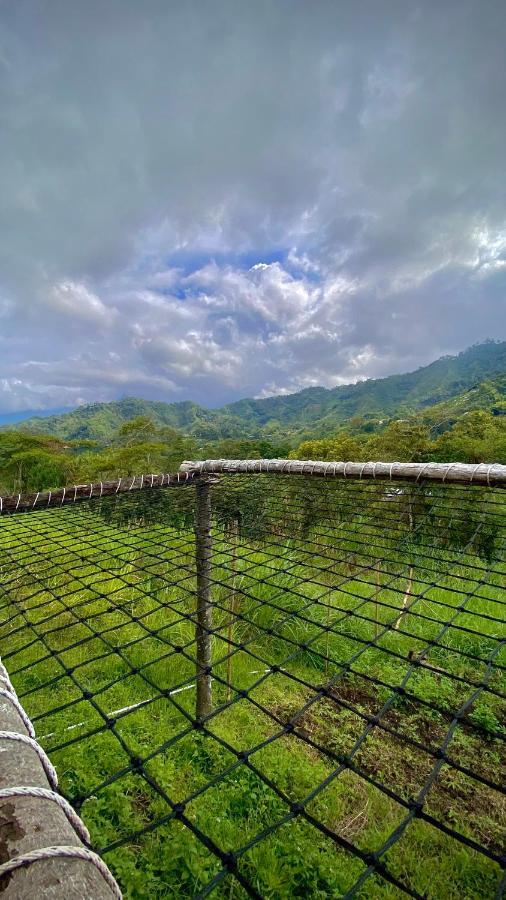 Finca Ecoparaiso Ibagué Eksteriør bilde